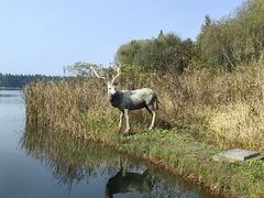 -溱湖国家湿地公园