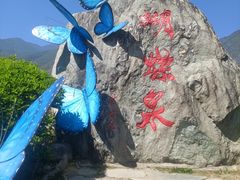 -蝴蝶泉公园