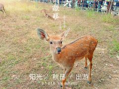-良渚古城遗址公园