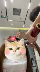 -MMbyHairCode 芭曲发型沙龙