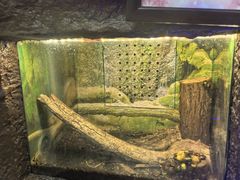 -上海昆虫博物馆