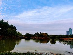 -艾溪湖湿地公园