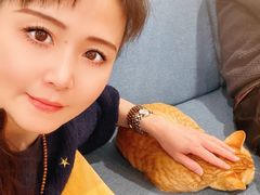 -猫的天空之城概念书店(苏州平江店)