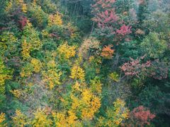 -洛阳白云山景区