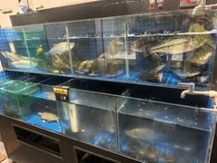 -状元楼(金溪路店)