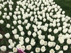 -大宁灵石公园西门票处