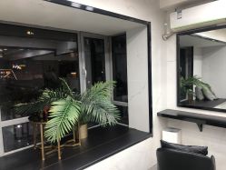 -ACE造型