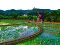-红山村