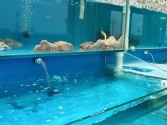 -港畔赶海蒸汽海鲜烧烤自助(仙螺岛店)