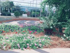 -龙达温泉生态城