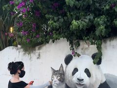 -三圣花乡旅游区