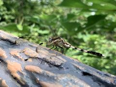 -南京金牛湖风景区