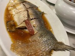 酒蒸鲥鱼-蝶园·装修中(BFC外滩金融中心店)