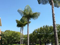 -湖泉半山温泉(湖泉生态园)