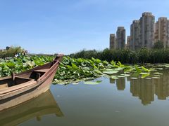 -前关湿地公园