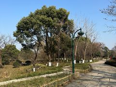 -西溪国家湿地公园