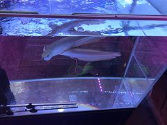 -宝鸡东道花鸟鱼虫市场(吉利花园商场店)