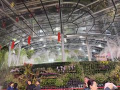 -北京植物园-展览温室