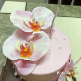 母亲节快乐～甜蜜蛋糕时刻