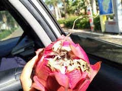 -硇洲岛旅游区