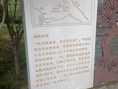 -莲花池公园