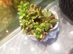 -雅克雅思(纱帽河店)
