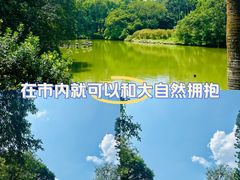 -中国科学院华南植物园