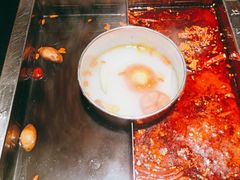 菌汤锅底-蜀江龙火锅(339店)