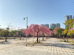 -海港城购物中心