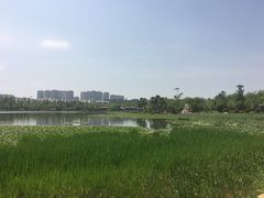 -洛龙公园