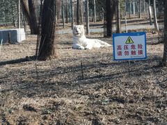 -秦皇岛野生动物园