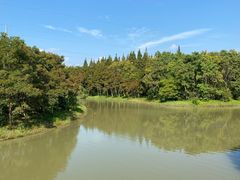 -上海海湾国家森林公园