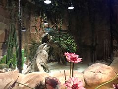 -zoonana室内动物园(东方福来德店)