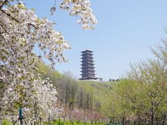 -大伊山景区