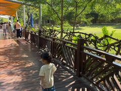 -泉州海丝野生动物世界