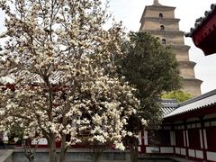 -大慈恩寺(大雁塔)