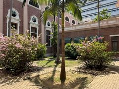 -香港大学