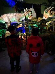 -恐龙探索乐园(磁器口店)