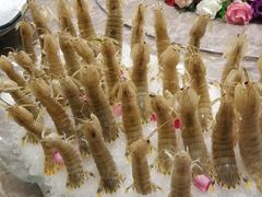 -澳门旅游塔360°旋转餐厅(南湾湖广场店)