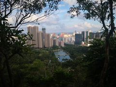 -板樟山森林公园