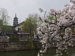 -得意楼蒸菜馆