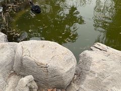 -山东师范大学(千佛山校区)