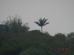 -南丫岛
