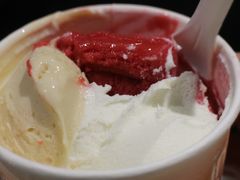 -Dip in Gelato(富民路店)