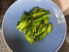 -得丘礼享谷·玉兰苑