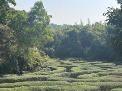 -大屏嶂森林公园