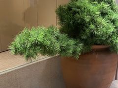 -全季酒店(深圳会展中心岗厦地铁站店)