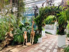 -石家庄市植物园