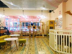 -喵匠猫主题咖啡(凯德和平广场店)