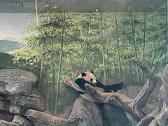 -武汉动物园